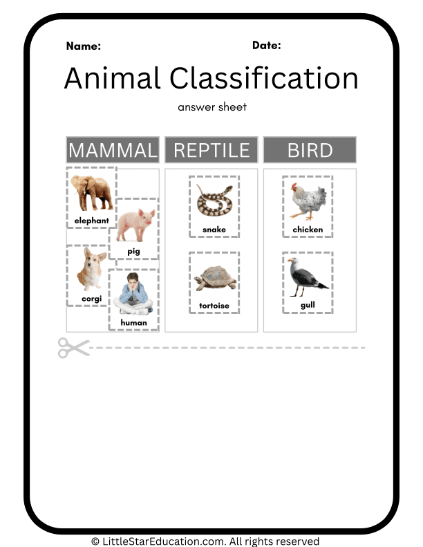 Animal Classification Worksheets for Primary Science