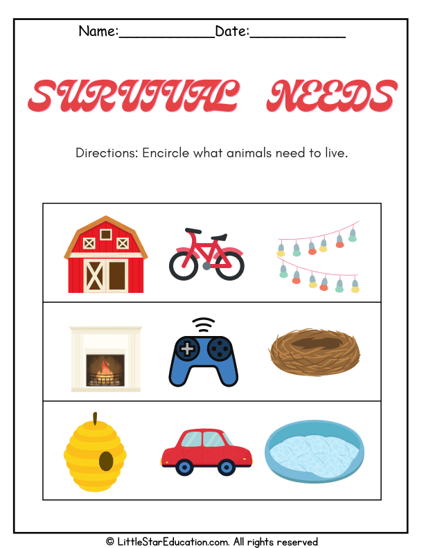 Animal Survival Needs Identification for Kindergarten Science