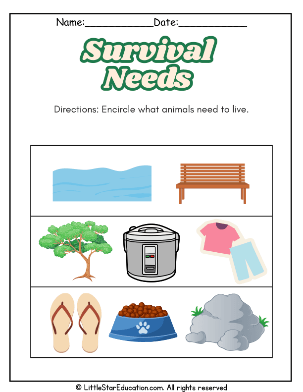 Animal Survival Needs Identification for Pre-K and Kindergarten Science