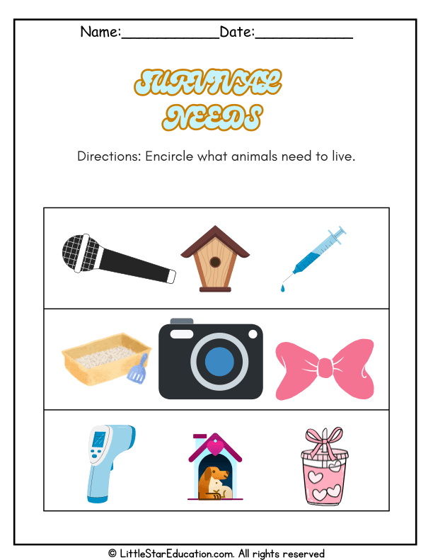 Animal Survival Needs Science Worksheet for Kindergarten