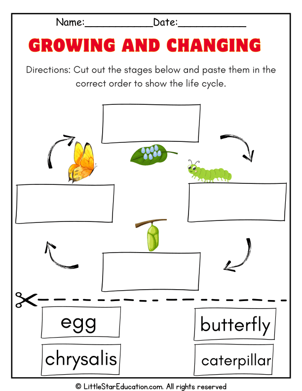 Butterfly Life Cycle Sequencing for Pre-K and Kindergarten Science