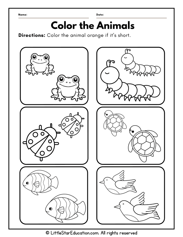 Comparing Lengths: Colorful Animal Measurement for Pre-K Math