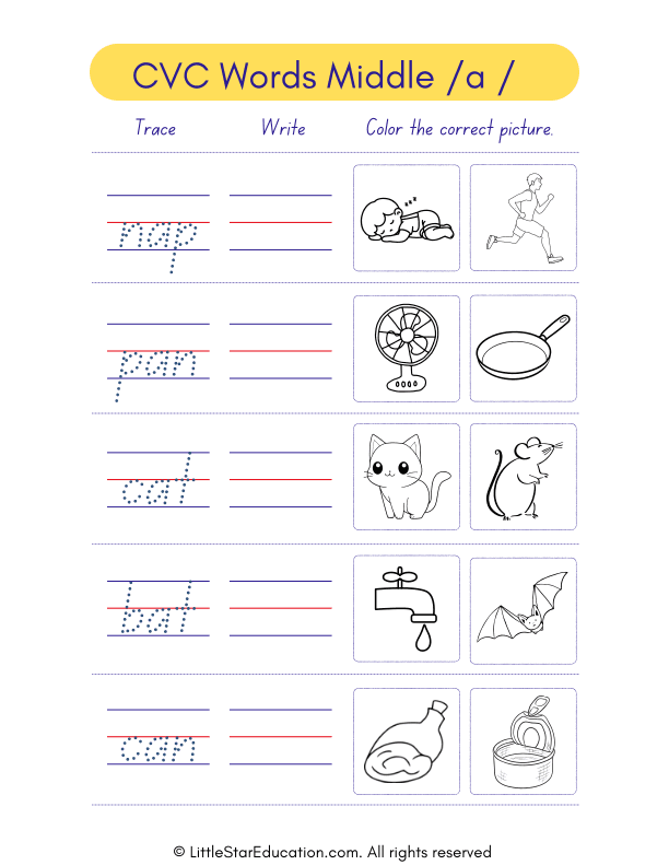 Cvc Words Middle a Writing Activity Worksheet