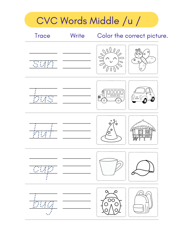 Cvc Words Middle U Writing Activity Worksheet