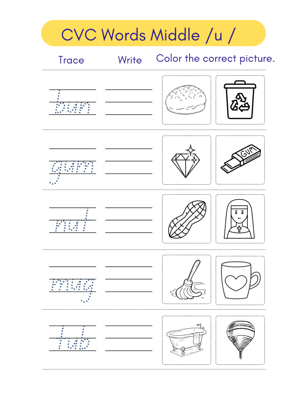 Cvc Words Middle U Writing Activity Worksheet