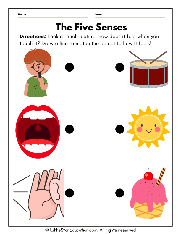 Exploring the Five Senses: Touch and Texture for Preschool Science