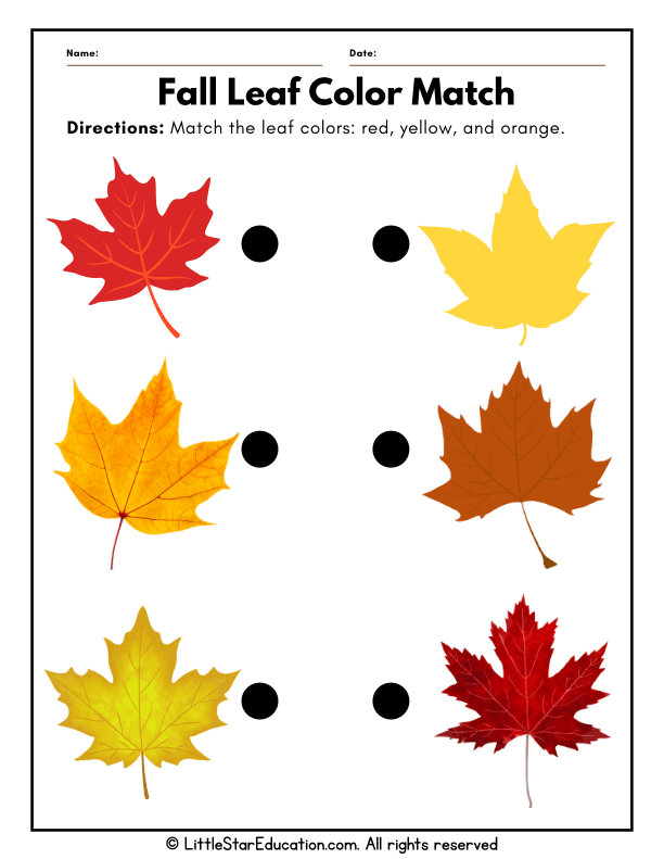 Fall Leaf Color Matching for Preschool and Kindergarten Math
