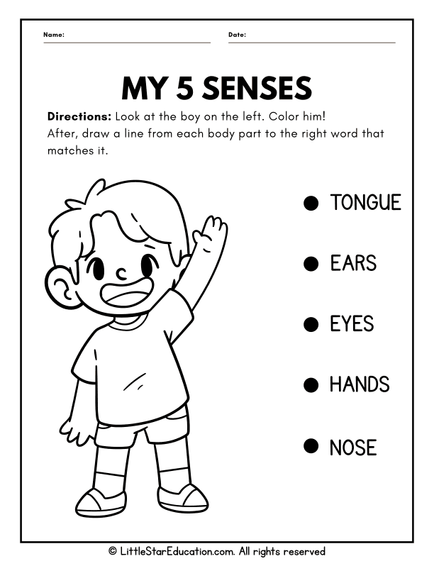 Five Senses Identification for Preschool and Kindergarten Science