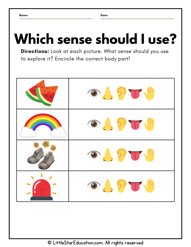 Five Senses Recognition for Preschool and Kindergarten Science