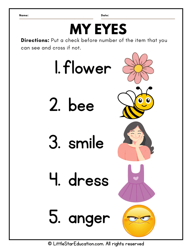 Five Senses Science: What Can I See? Visual Recognition for Pre-K