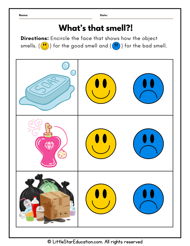 Five Senses Smell Recognition for Preschool Science Learning