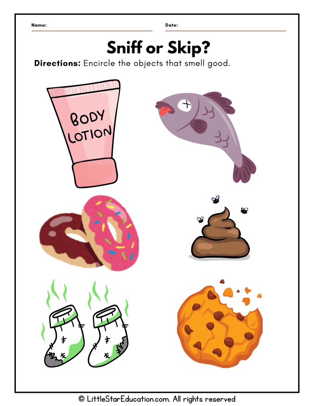 Five Senses: Smell Recognition Practice for Preschool Science