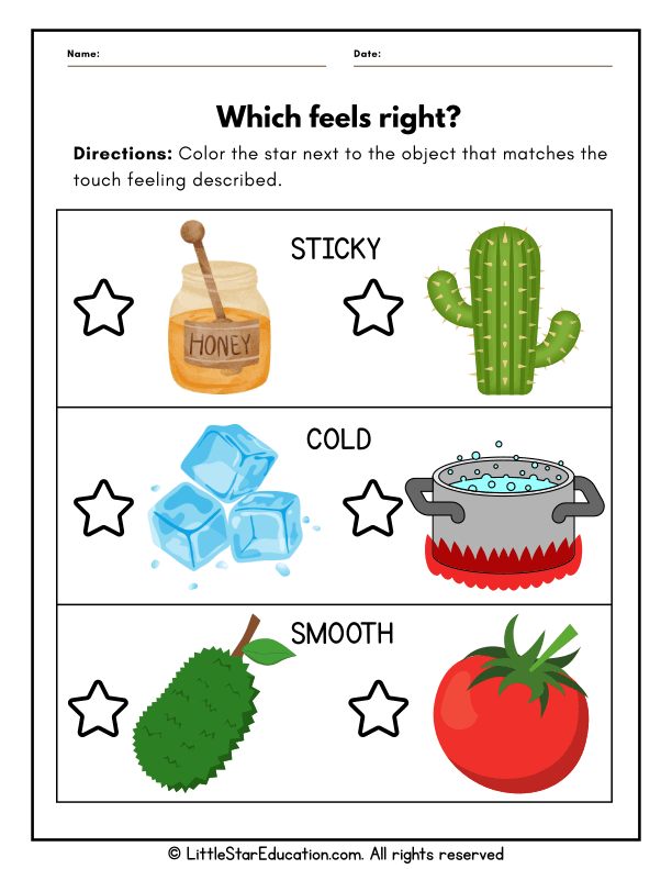 Five Senses Touch Recognition for Preschool and Kindergarten Science