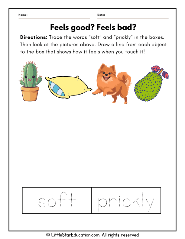 Five Senses Touch: Sorting Soft and Prickly for Preschool Science