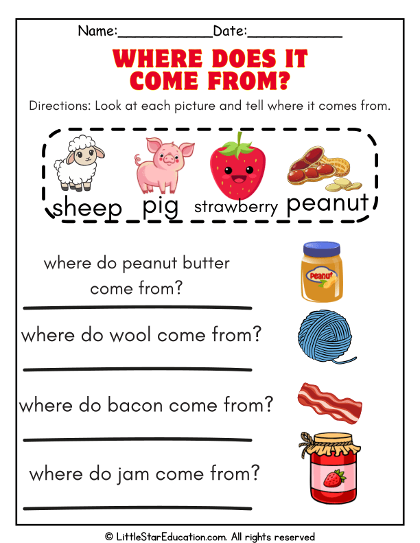 Food Origins Sorting for Early Science Learners: Farm to Table Exploration