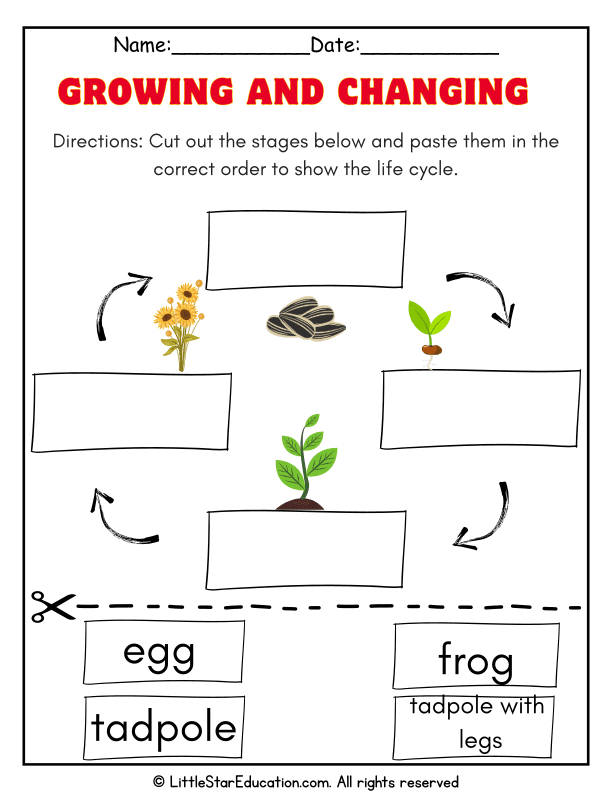Frog Life Cycle Sequencing Cut and Paste for Early Science