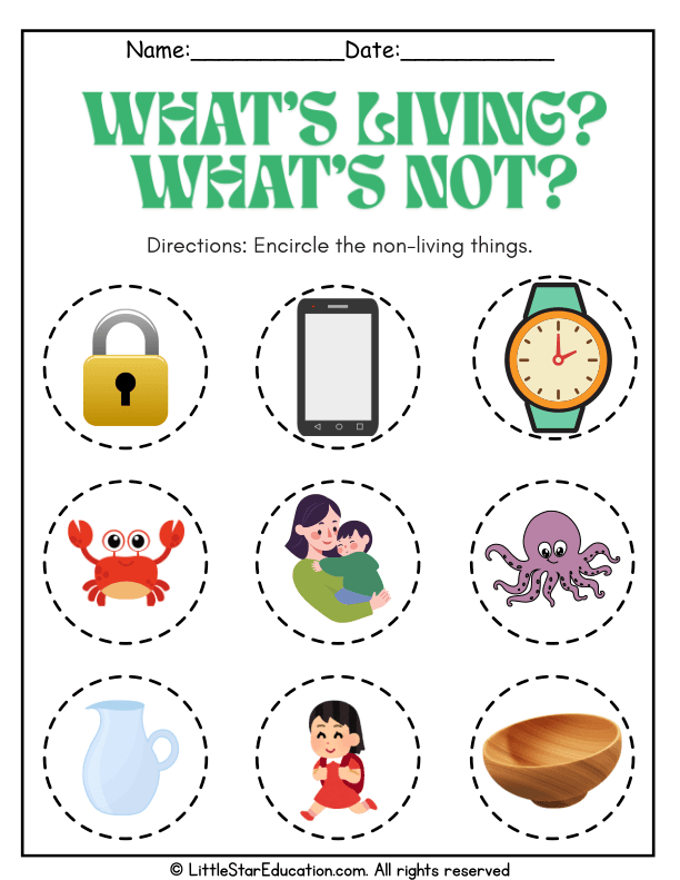 Identify Living and Non-Living Objects Science for Pre-K and K