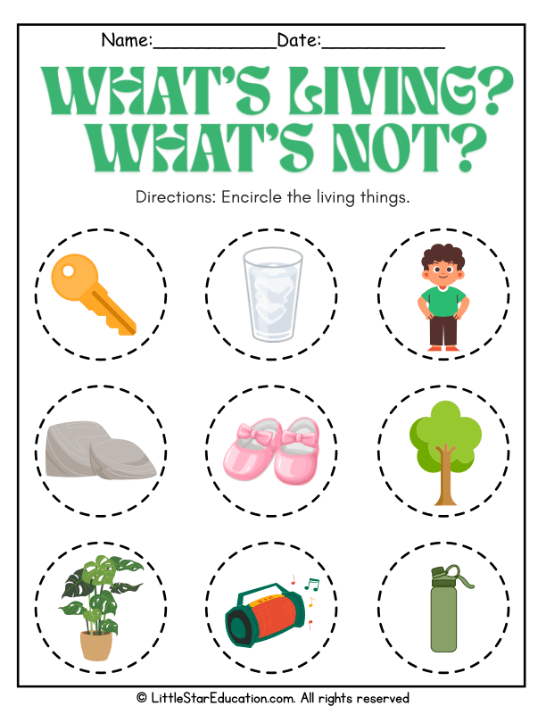 Identify Living and Nonliving Things for Pre-K and Kindergarten Science