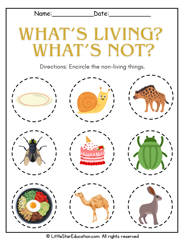 Identifying Living and Non-Living Things for Early Learners