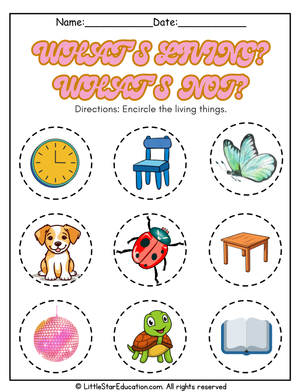 Identifying Living and Nonliving Things for Early Learners Science