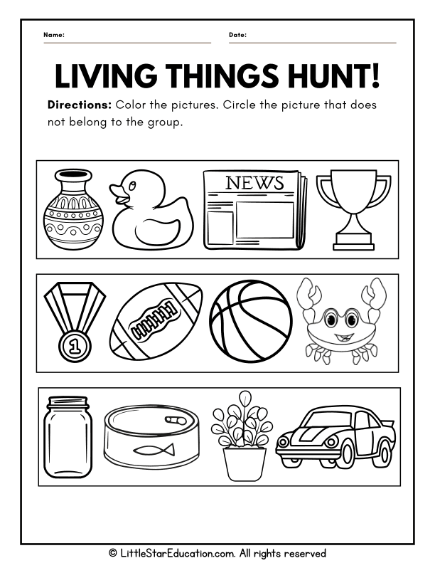 Identifying Living and Nonliving Things for Preschool Science