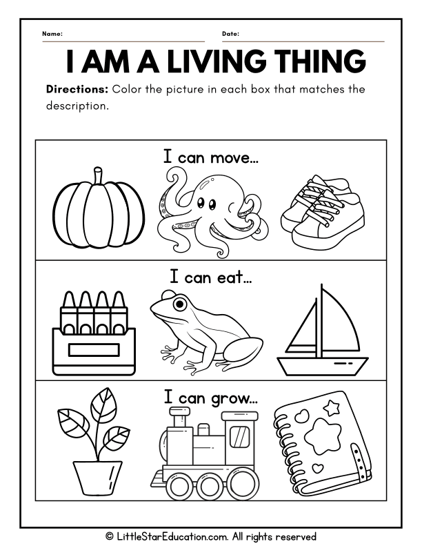 Identifying Living vs Nonliving Things for Preschool Science