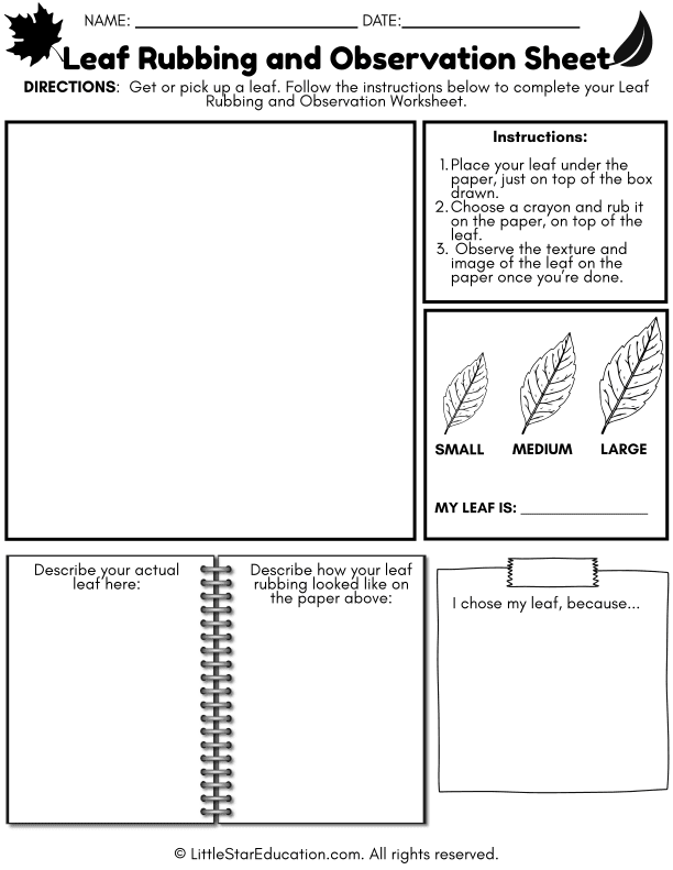 Leaf Rubbing Exploration and Observation for Early Science Skills