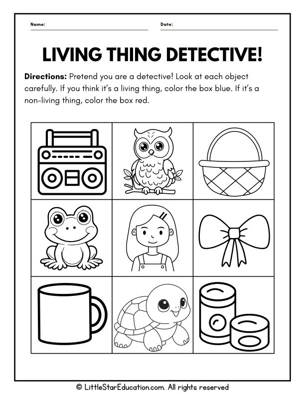 Living and Nonliving Things Sorting for Preschool Science