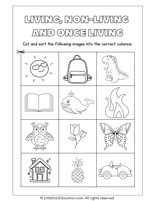 Living, Non Living and Once Living Science Worksheet