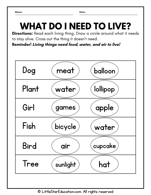 Living vs Non-Living Needs: Pre-K Science Sorting Practice