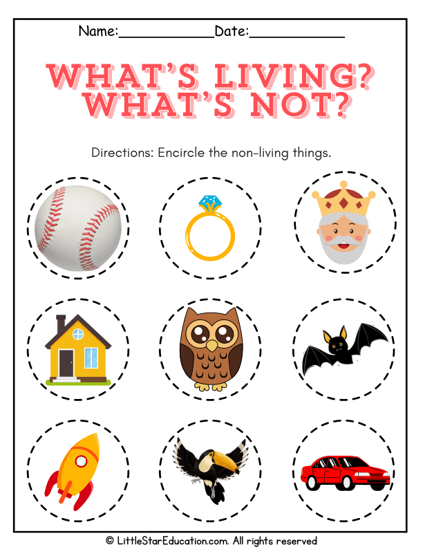 Living vs Non-Living Sorting for Early Science Learners