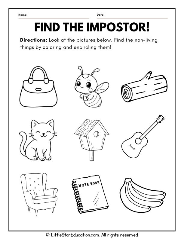 Living vs Non-Living Things Sorting for Preschool Science