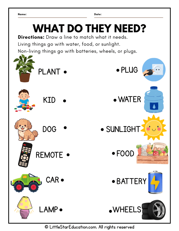 Living vs Nonliving Needs: Matching Science for Preschool & Kindergarten
