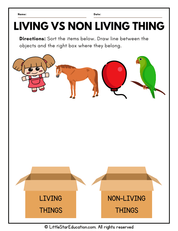 Living vs Nonliving Sort for Preschool and Kindergarten Science