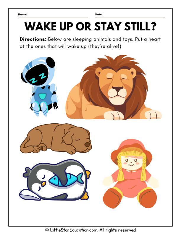 Living vs Nonliving Sort: Identify Animals and Toys for Pre-K Science