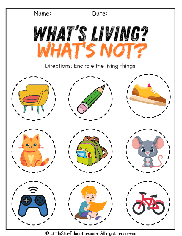 Living vs. Nonliving Sorting for Pre-K and Kindergarten Science
