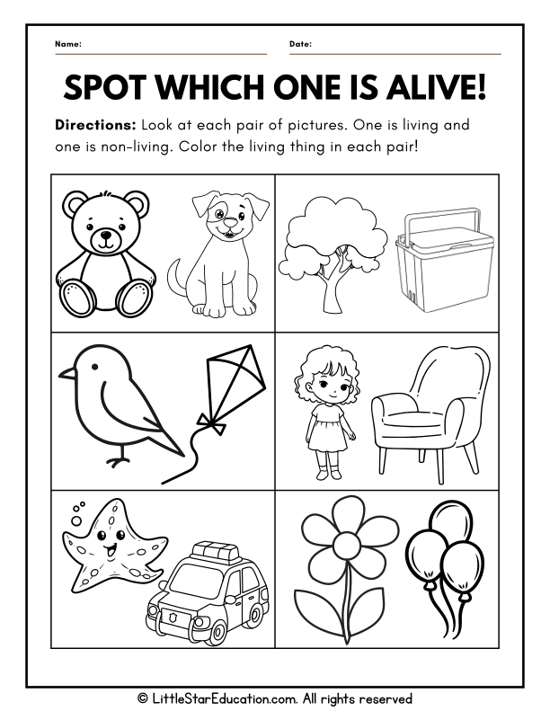 Living vs Nonliving Things Coloring for Preschool Science