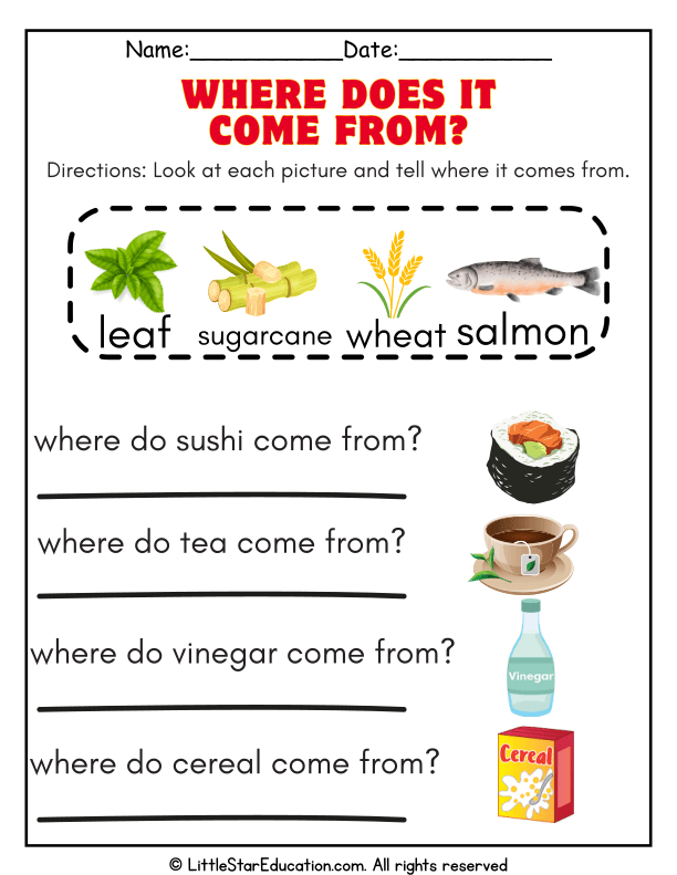 Plant or Animal Origins Science Sorting for Early Learners
