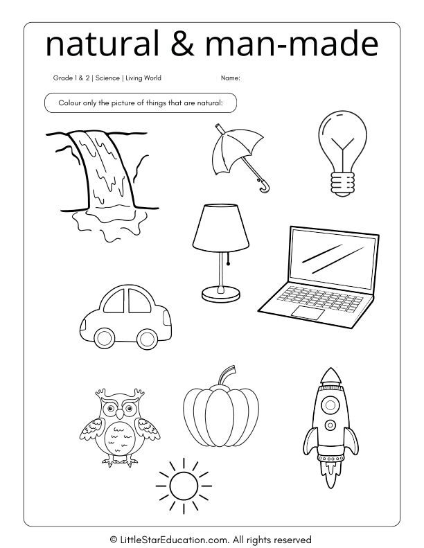 Science About Natural Vs Man Made for Grade 1 & 2