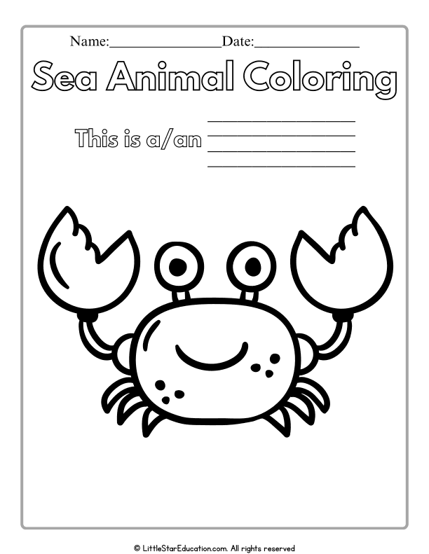 Sea Animal Coloring for Preschool and Kindergarten Art