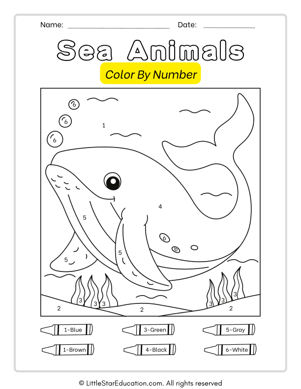 Sea Animals Color by Number Math for Preschool and Kindergarten