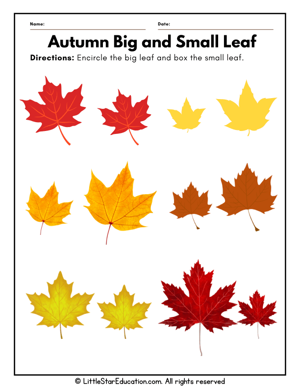 Sorting Big and Small Leaves: Size Comparison Math for Pre-K