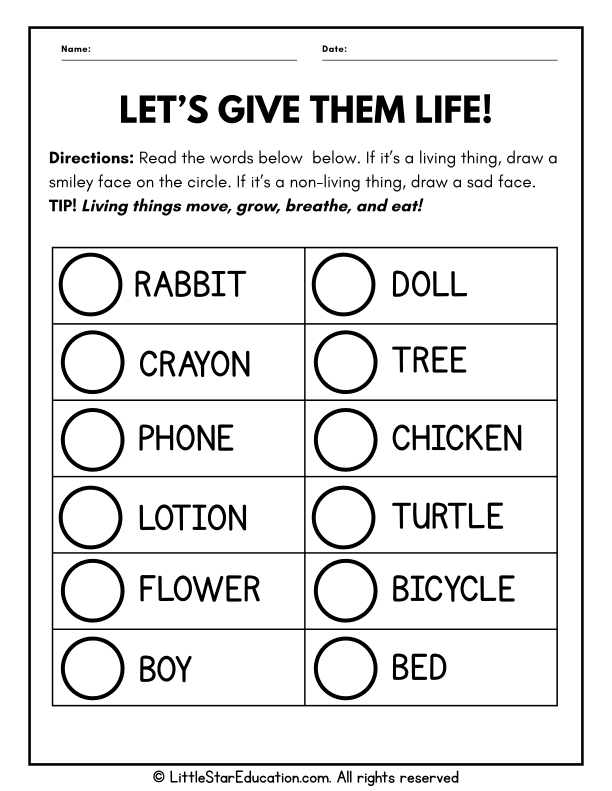 Sorting Living and Nonliving Things for Preschool