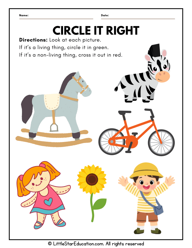 Sorting Living and Nonliving Things for Preschool Science