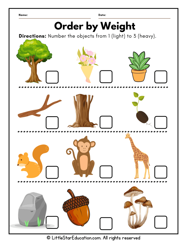Sorting Objects by Weight: Early Math Skills for Pre-K and Kindergarten