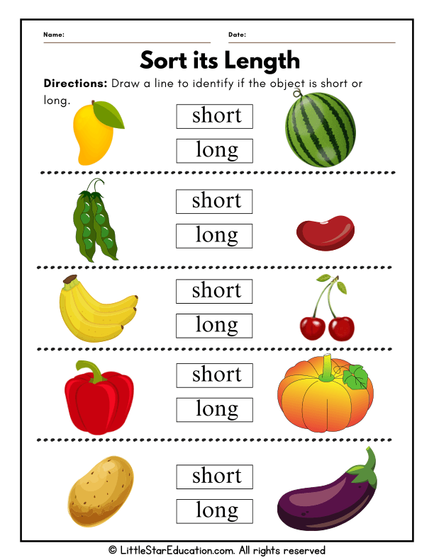 Sorting Short and Long Objects for Early Math Skills