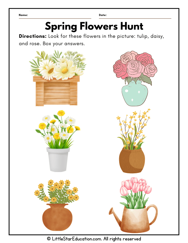 Spring Flower Identification for Preschool Science Exploration