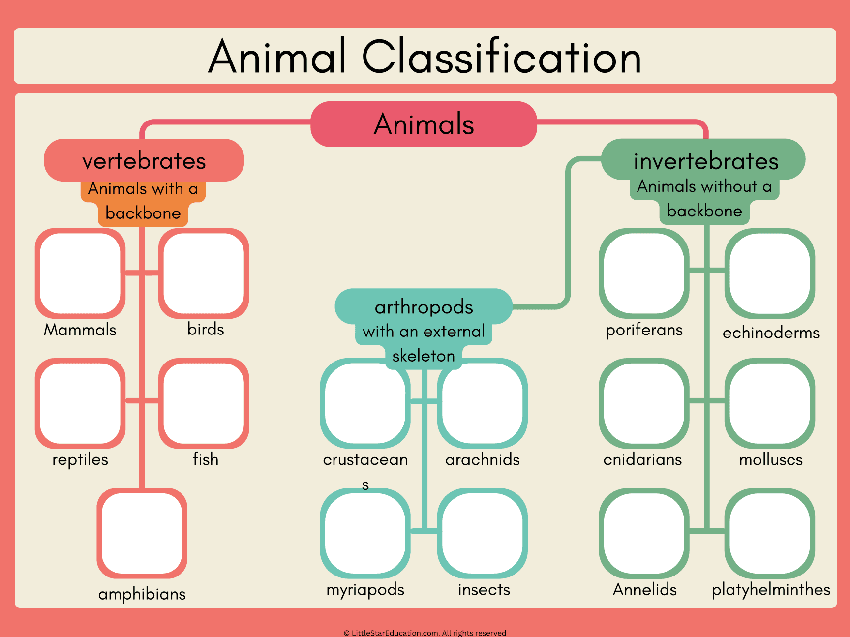 Vertebrates and Invertebrates Classification