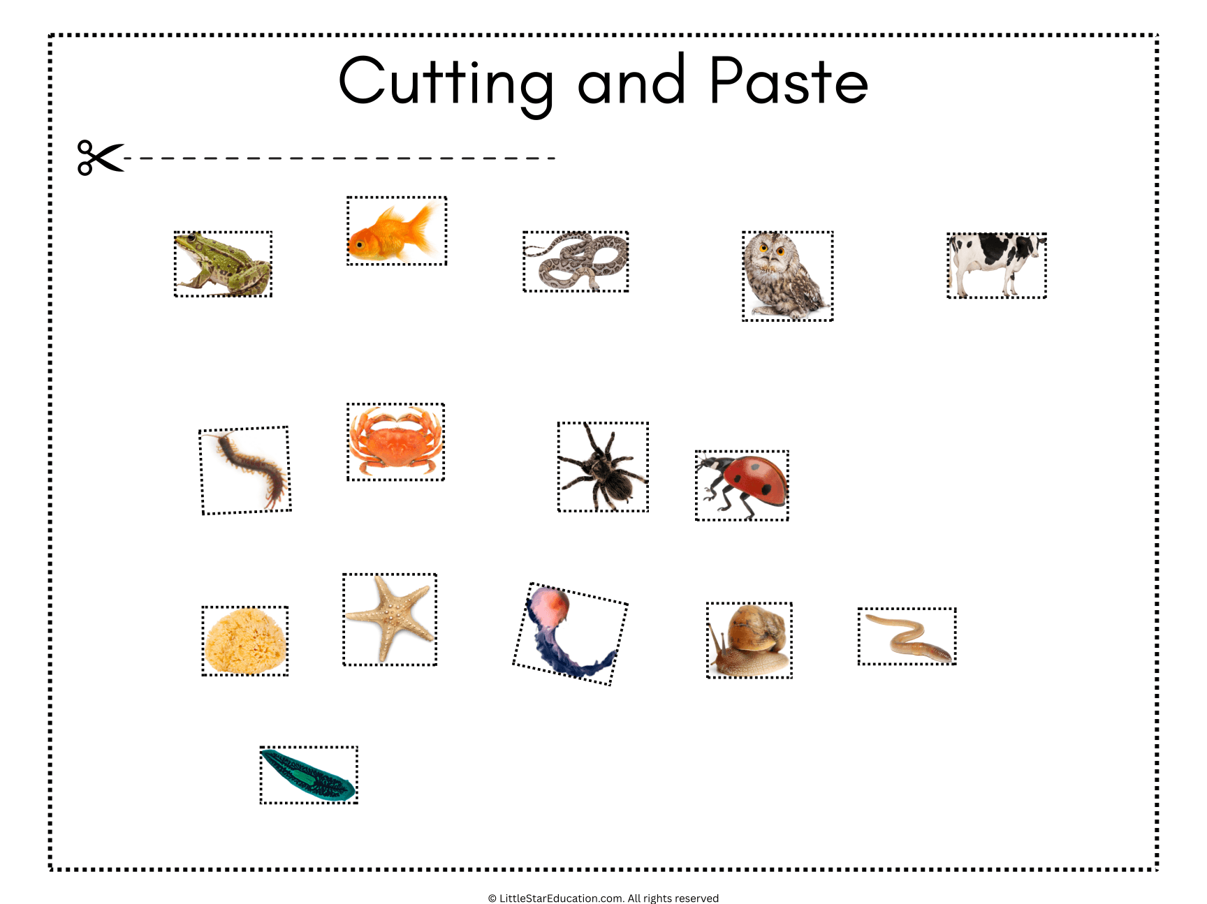 Vertebrates and Invertebrates Classification