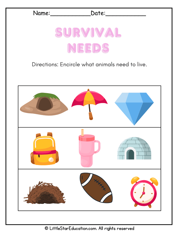 What Animals Need to Live: Science Circle Activity for Pre-K & Kindergarten